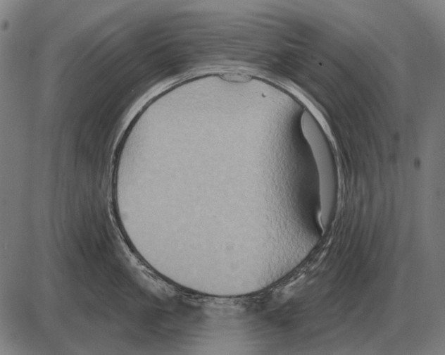 X0000084020861200703161738