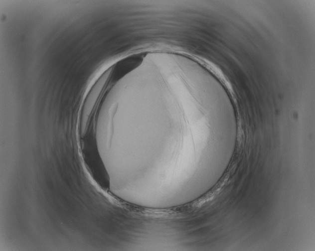 X0000084020863200703161738