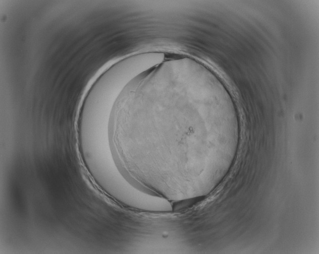 X0000084020864200703161738