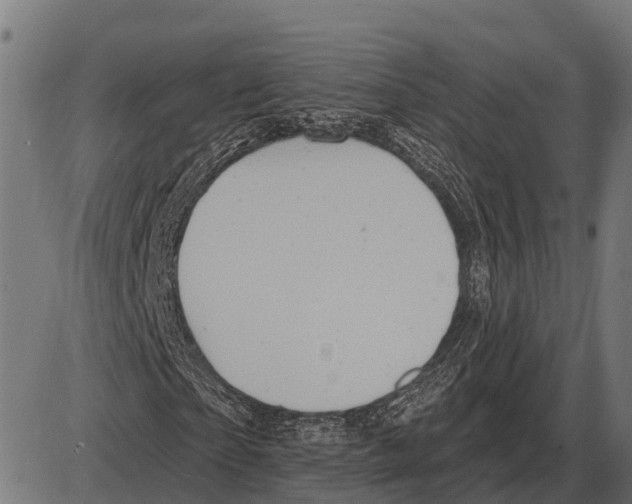 X0000084020865200703161737