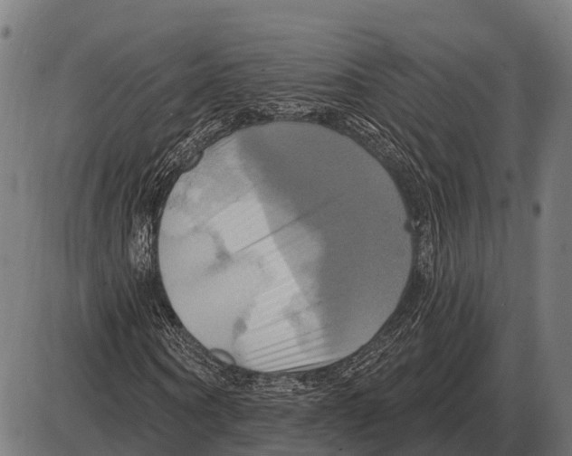 X0000084020866200703161737