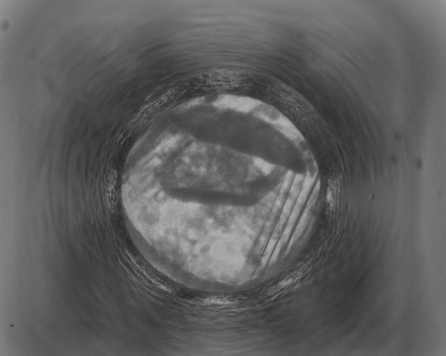 X0000084020867200703161737