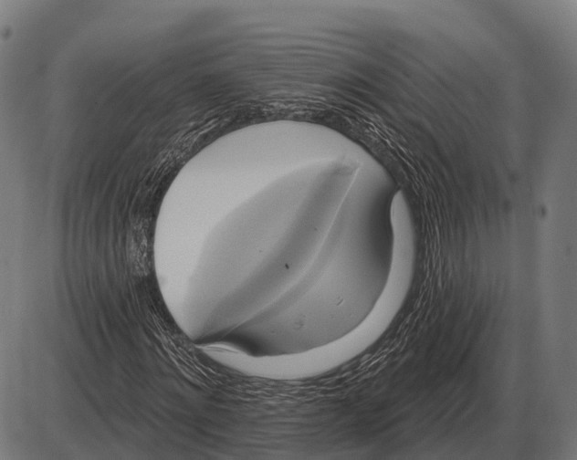 X0000084020868200703161737