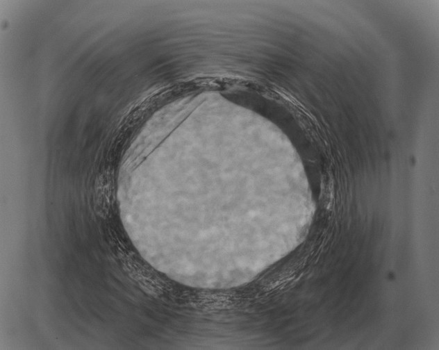 X0000084020870200703161737