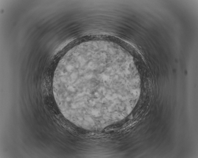 X0000084020871200703161737