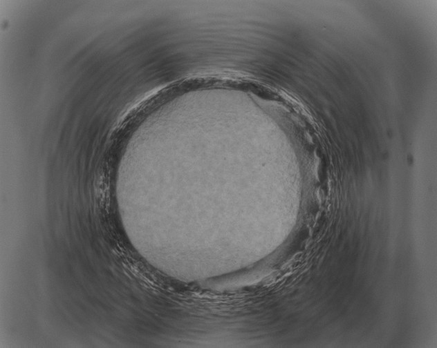 X0000084020872200703161737