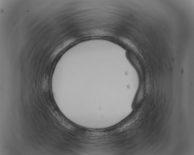 X0000084020873200703161737