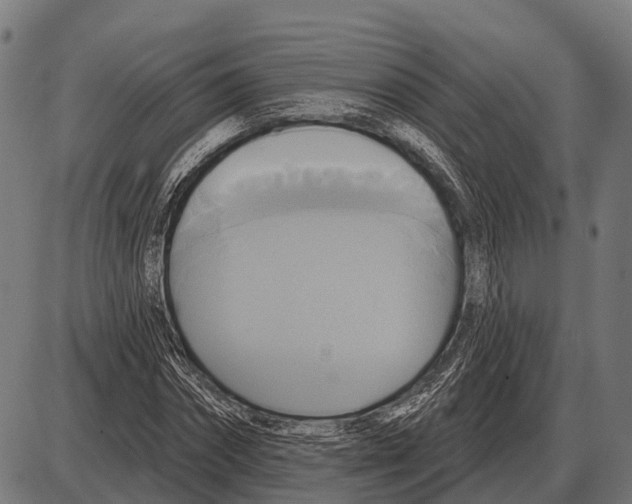 X0000084020874200703161737