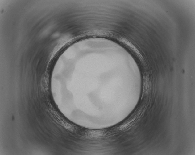 X0000084020878200703161737