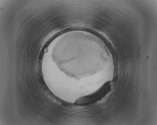 X0000084020879200703161737