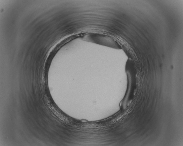 X0000084020880200703161737