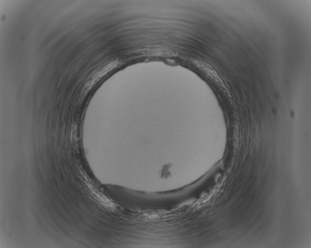 X0000084020881200703161737