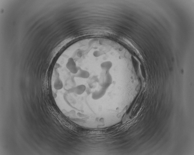 X0000084020883200703161737