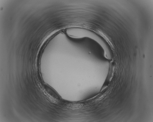 X0000084020884200703161737