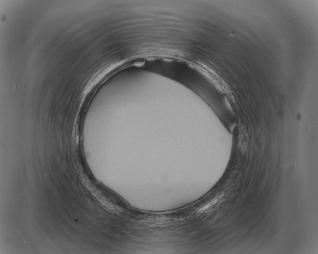 X0000084020885200703161737