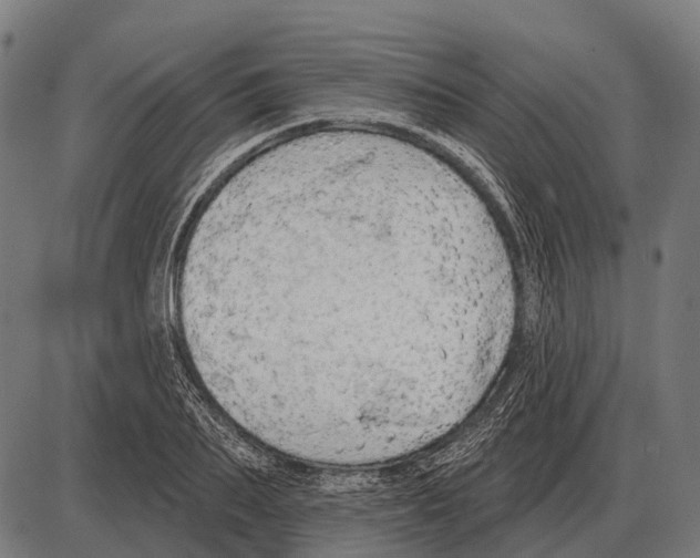 X0000084020887200703161736