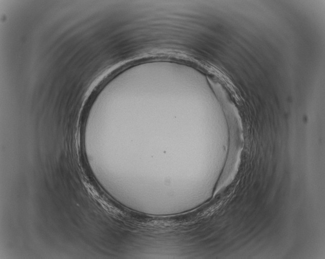 X0000084020888200703161736