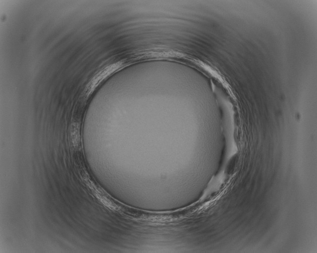 X0000084020889200703161736