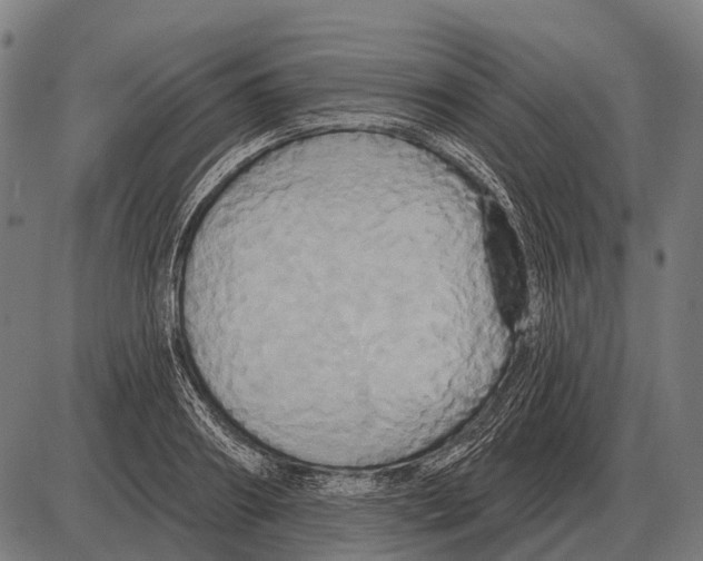 X0000084020890200703161736