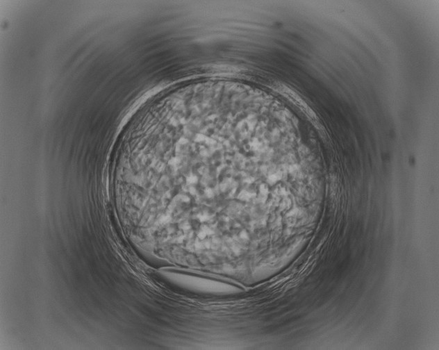 X0000084020891200703161736