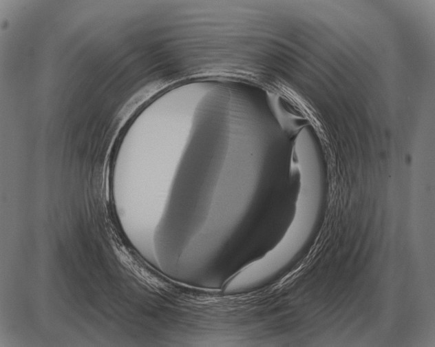 X0000084020892200703161736