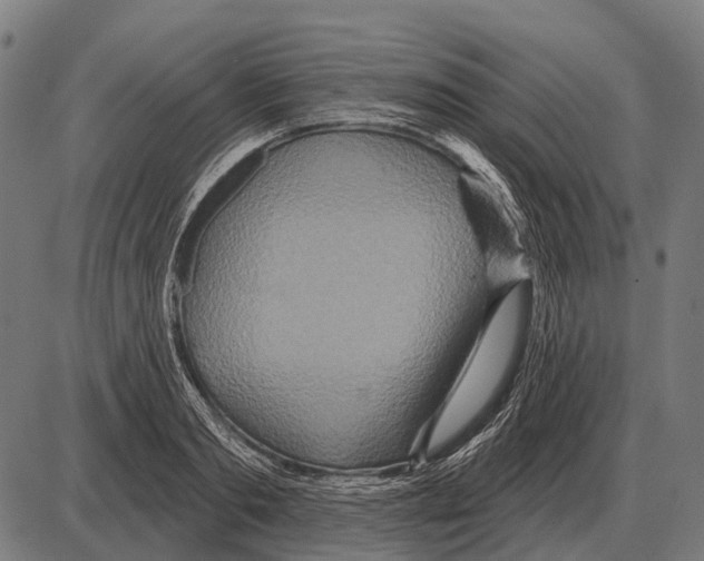 X0000084020893200703161736