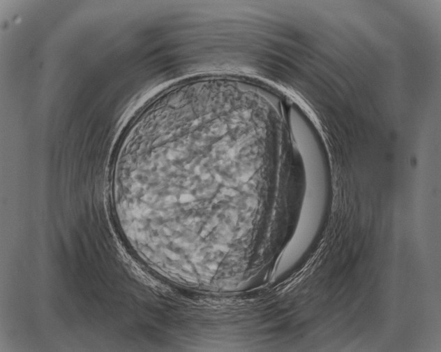 X0000084020895200703161736