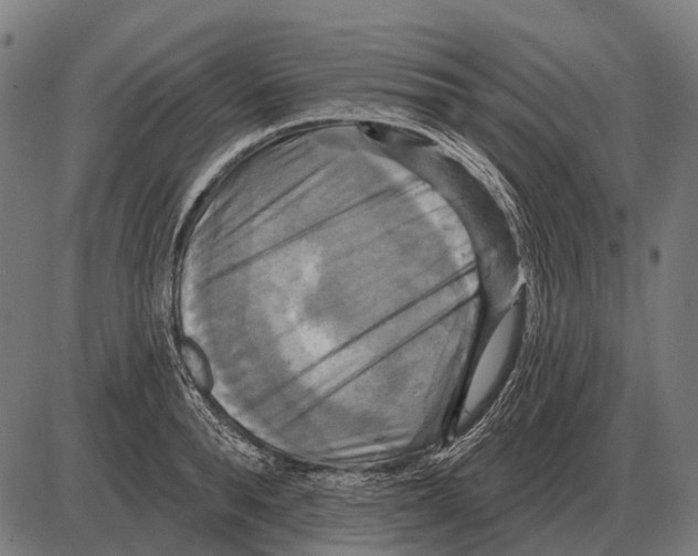 X0000084020896200703161736