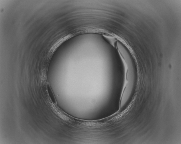 X0000084020897200703161736