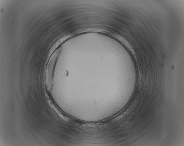 X0000084020898200703161736