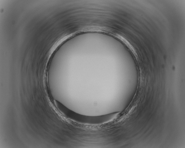 X0000084020901200703161736