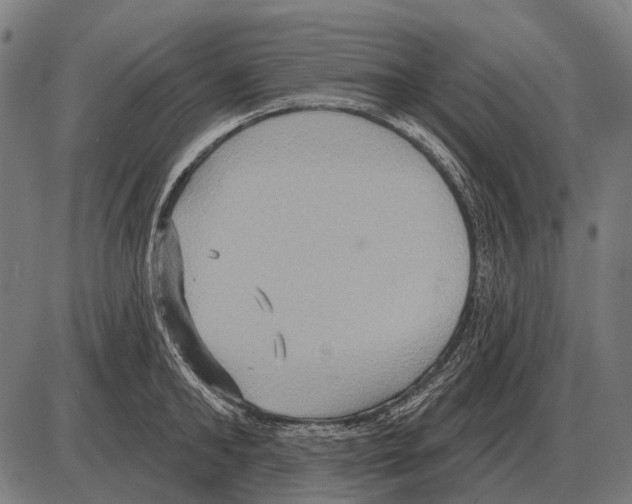 X0000084020902200703161736