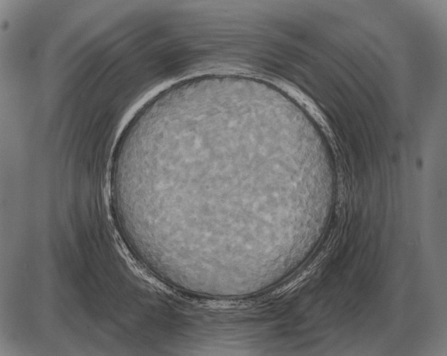 X0000084020904200703161736