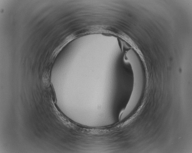 X0000084020905200703161736