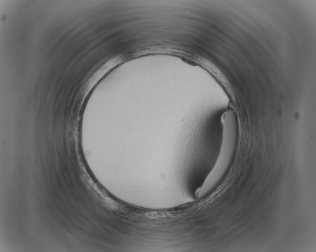 X0000084020906200703161736