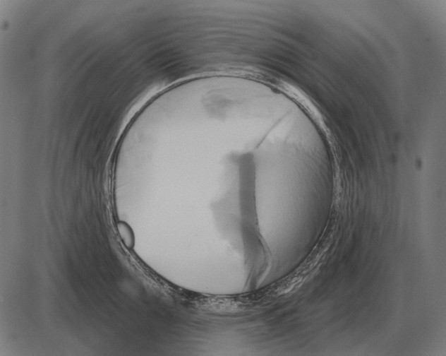 X0000084020907200703161736