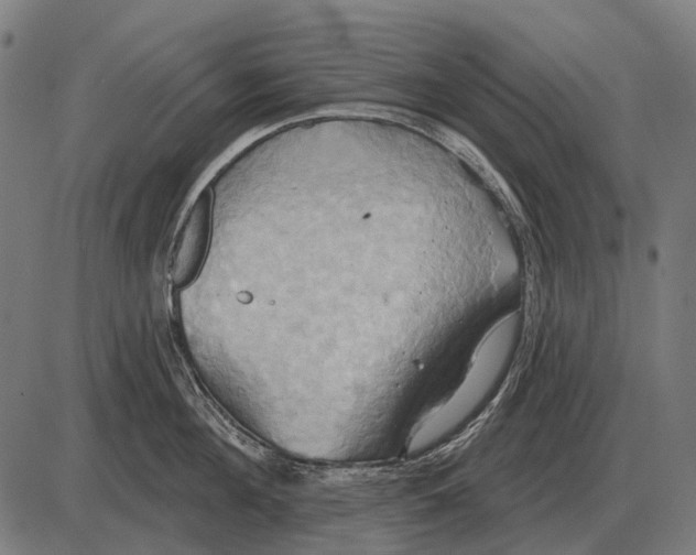 X0000084020908200703161736