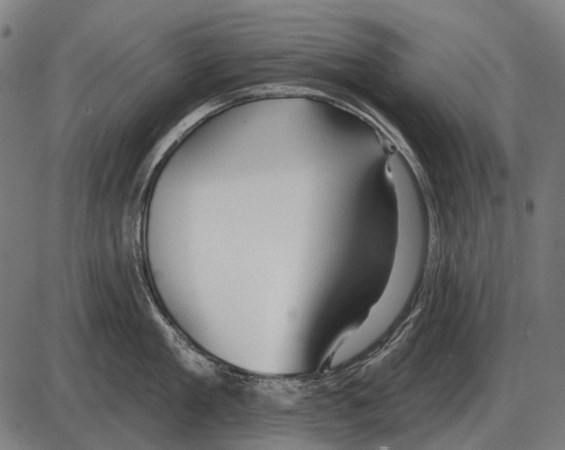 X0000084020909200703161736