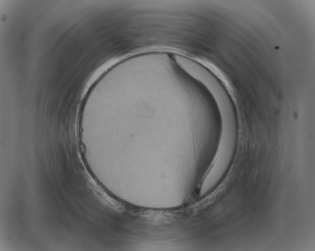 X0000084020910200703161736