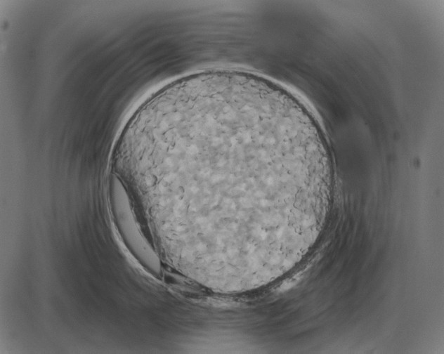 X0000084020911200703161736