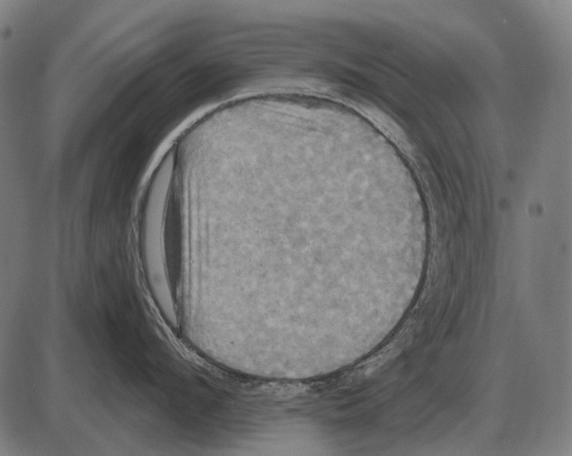 X0000084020912200703161736