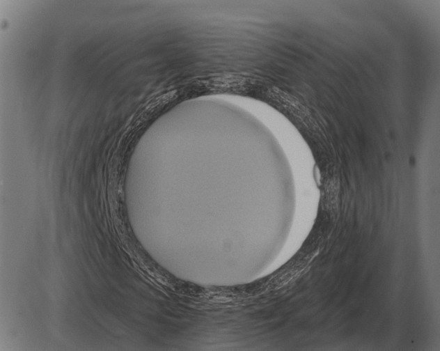 X0000084020913200703161735