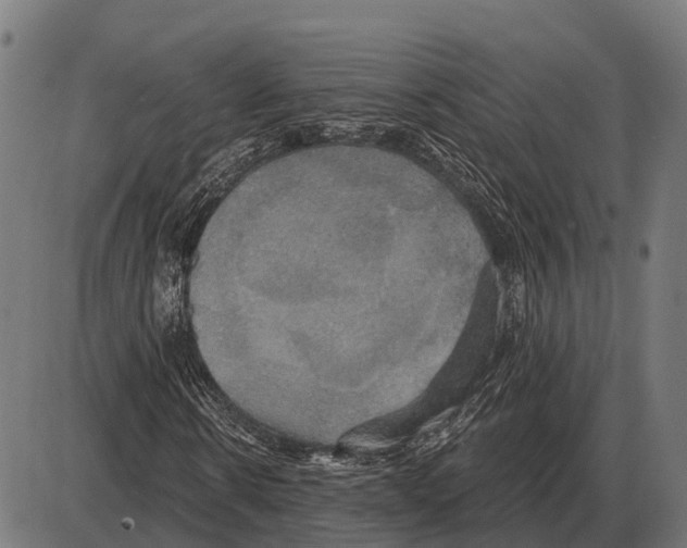 X0000084020914200703161735