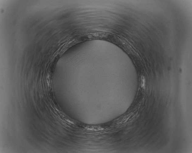 X0000084020915200703161735