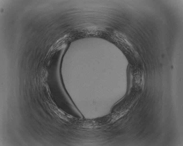 X0000084020916200703161735