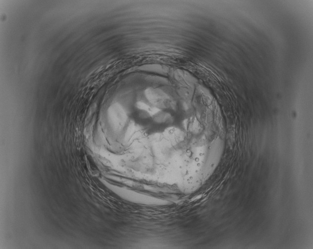 X0000084020917200703161735