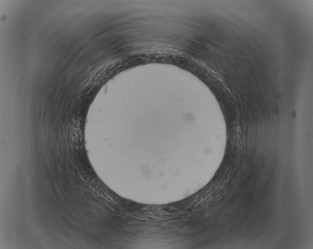 X0000084020918200703161735