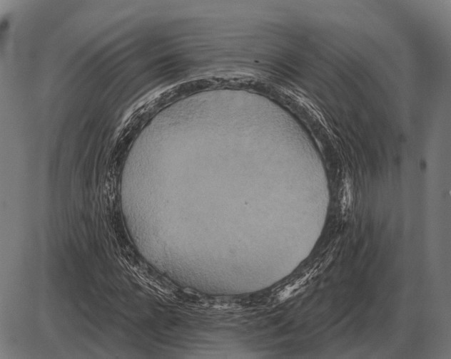 X0000084020920200703161735