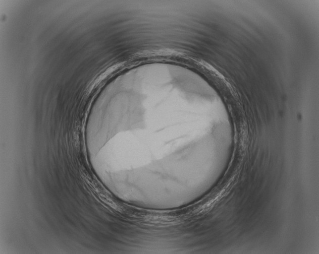 X0000084020921200703161735