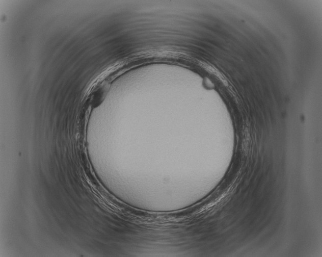 X0000084020922200703161735